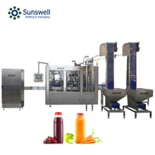 Línea de producción automática completa de la máquina de rellenar del jugo de la botella del sistema completo